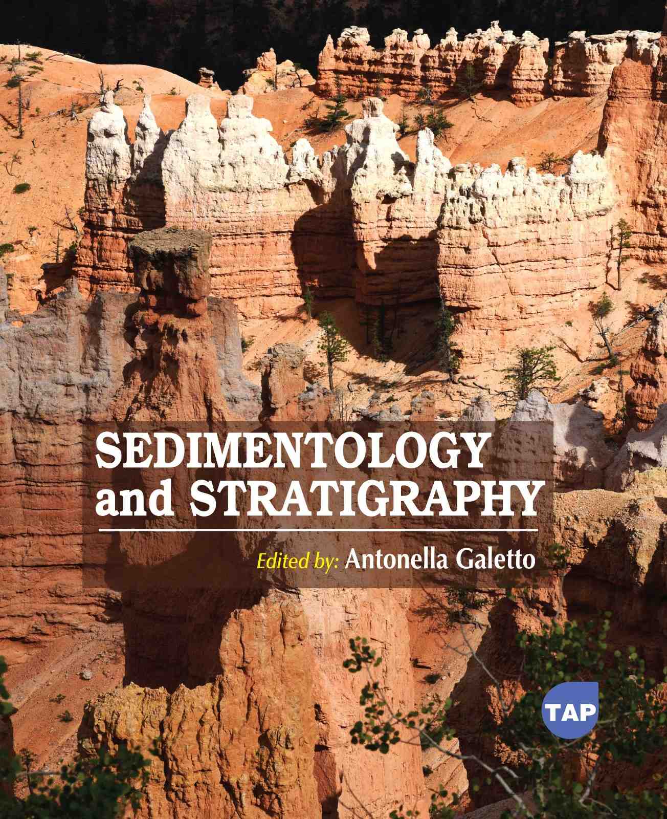 Sedimentology and Stratigraphy